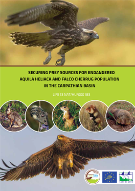 Securing Prey Sources for Endangered Aquila Heliaca and Falco Cherrug Population in the Carpathian Basin