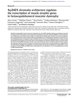 4Q-D4Z4 Chromatin Architecture Regulates the Transcription of Muscle Atrophic Genes in Facioscapulohumeral Muscular Dystrophy