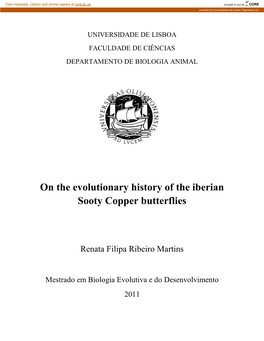 On the Evolutionary History of the Iberian Sooty Copper Butterflies