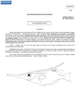 Macror 1983 Fao Species Identification Sheets