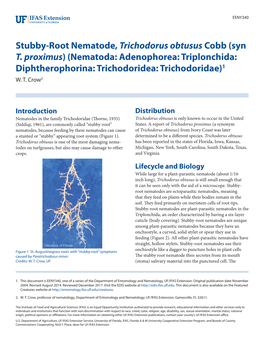 Stubby-Root Nematode, Trichodorus Obtusus Cobb (Syn T. Proximus) (Nematoda: Adenophorea: Triplonchida: Diphtherophorina: Trichodoridea: Trichodoridae)1 W