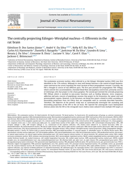 The Centrally Projecting Edinger–Westphal Nucleus—I: Efferents in the Rat Brain