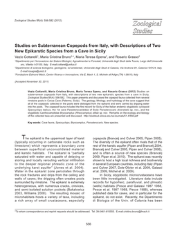 Studies on Subterranean Copepods from Italy, with Descriptions of Two New Epikarstic Species from a Cave in Sicily