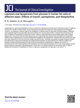 Lipolysis and Lipogenesis from Glucose in Human Fat Cells of Different Sizes: Effects of Insulin, Epinephrine, and Theophylline