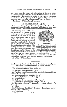 Account of Twenty-Six Species of Polyparia Obtained from the Eocene