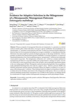 Evidence for Adaptive Selection in the Mitogenome of a Mesoparasitic Monogenean Flatworm Enterogyrus Malmbergi