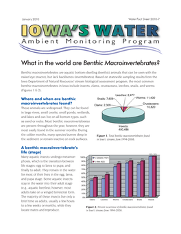 Benthic Macroinvertebrates?