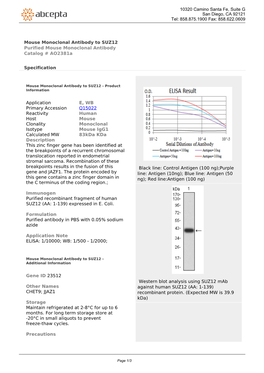 Mouse Monoclonal Antibody to SUZ12 Purified Mouse Monoclonal Antibody Catalog # Ao2381a