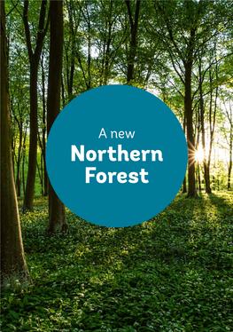 Northern Forest Prospectus