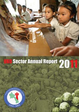 UXO Sector Annual Report 2011 English.Pdf