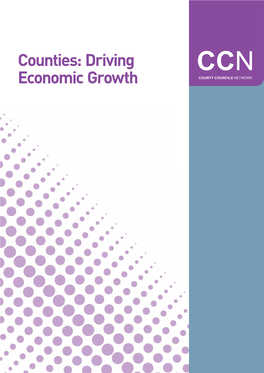 Counties: Driving Economic Growth Contents