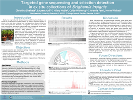 REU Poster 2018 1 Copy