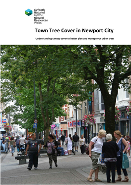 Town Tree Cover in Newport City