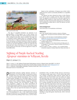 Sighting of Purple-Backed Starling Agropsar Sturninus in Vellayani, Kerala Dilip K