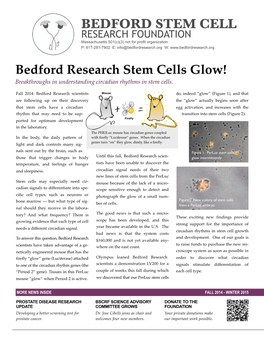 BEDFORD STEM CELL RESEARCH FOUNDATION Massachusetts 501(C)(3) Not for Profit Organization P: 617-281-7902 E: Info@Bedfordresearch.Org W