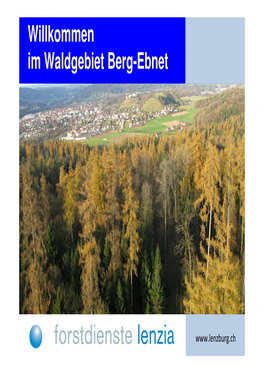 Willkommen Im Waldgebiet Berg-Ebnet