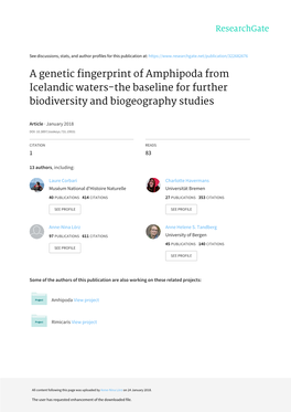 A Genetic Fingerprint of Amphipoda from Icelandic Waters-The Baseline for Further Biodiversity and Biogeography Studies