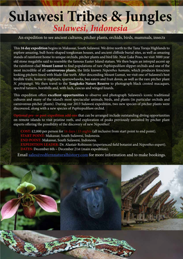 Sulawesi Tribes & Jungles