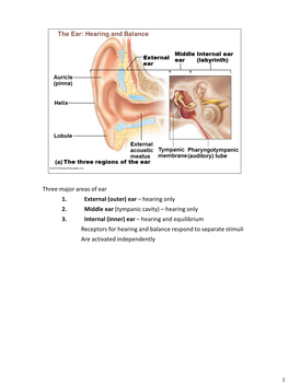 Three Major Areas of Ear 1. External (Outer) Ear – Hearing Only 2. Middle Ear (Tympanic Cavity) – Hearing Only 3