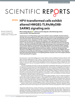 HPV-Transformed Cells Exhibit Altered HMGB1-TLR4/Myd88-SARM1