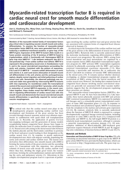 Myocardin-Related Transcription Factor B Is Required in Cardiac Neural Crest for Smooth Muscle Differentiation and Cardiovascular Development