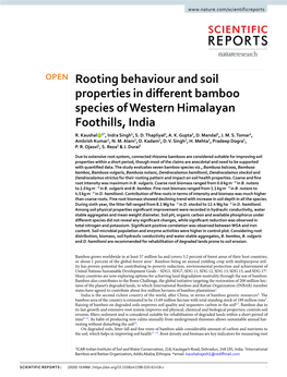 Rooting Behaviour and Soil Properties in Different Bamboo Species Of