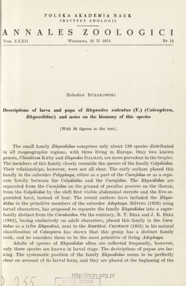 Descriptions of Larva and Pupa of Rhysodes Sulcatus (F.) (Coleoptera, Rhysodidae) and Notes on the Bionomy of This Species