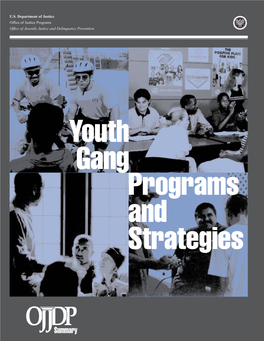 Youth Gang Programs and Strategies