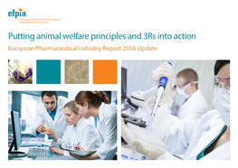 Putting Animal Welfare Principles and 3Rs Into Action
