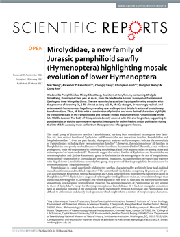 Mirolydidae, a New Family of Jurassic Pamphilioid Sawfly (Hymenoptera