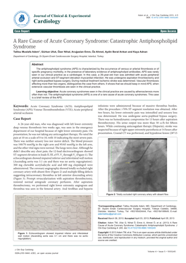 A Rare Cause of Acute Coronary Syndrome