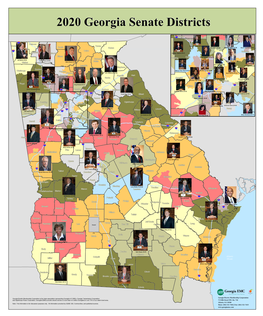 2020 Georgia Senate Districts