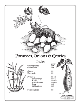 Potatoes, Onions & Exotics