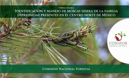 Identificación Y Manejo De Moscas Sierra De La Familia Diprionidae Presentes En El Centro Norte De México