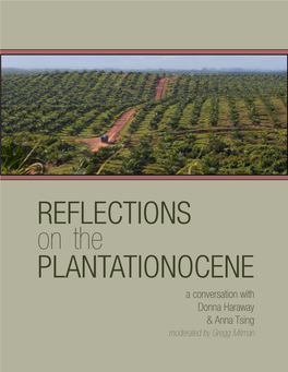 REFLECTIONS PLANTATIONOCENE On