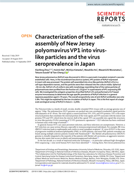 Characterization of the Self-Assembly of New Jersey Polyomavirus VP1 Into Virus-Like Particles and the Virus Seroprevalence in J