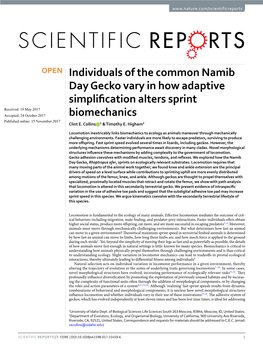 Individuals of the Common Namib Day Gecko Vary in How Adaptive