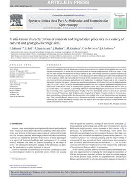 In Situ Raman Characterization of Minerals and Degradation Processes in a Variety of Cultural and Geological Heritage Sites