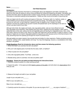 Name:___Owl Pellet Dissection Introduction