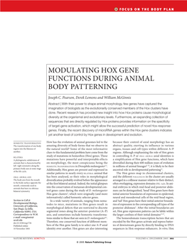 Hox Genes in Development and Evolution