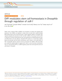 DIP1 Modulates Stem Cell Homeostasis in Drosophila Through Regulation of Sisr-1