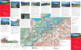 Spiez Interlaken Finsteraarhorn Schreckhorn Grosses