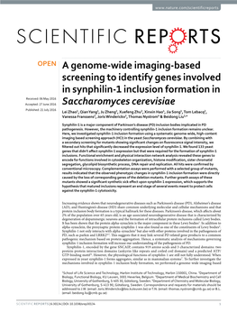 A Genome-Wide Imaging-Based Screening to Identify Genes Involved in Synphilin-1 Inclusion Formation in Saccharomyces Cerevisiae