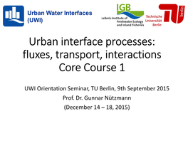 Urban Interface Processes: Fluxes, Transport, Interactions Core Course 1