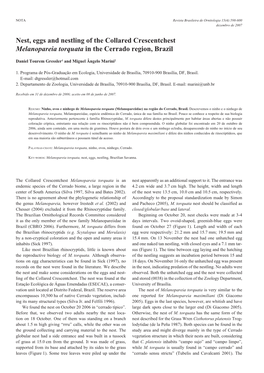 Nest, Eggs and Nestling of the Collared Crescentchest Melanopareia Torquata in the Cerrado Region, Brazil