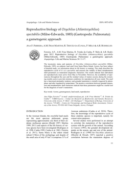 Reproductive Biology of Oxychilus (Atlantoxychilus) Spectabilis (Milne-Edwards, 1885) (Gastropoda: Pulmonata): a Gametogenic Approach