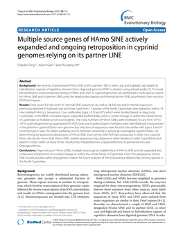 Multiple Source Genes of Hamo SINE Actively Expanded and Ongoing