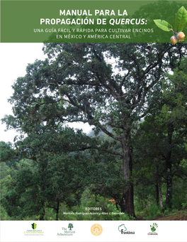 Manual Para La Propagación De Quercus