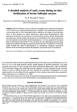 Fertilization of Bovine Follicular Oocytes K