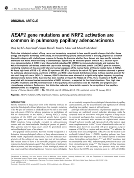 KEAP1 Gene Mutations and NRF2 Activation Are Common in Pulmonary Papillary Adenocarcinoma